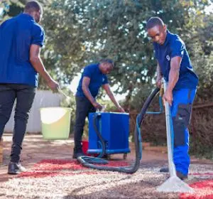 Professional carpet cleaning