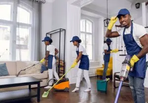 Professional house cleaning service