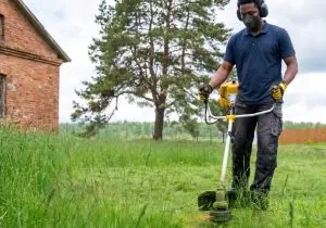 Professional grass cutting service