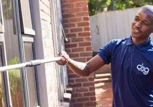 Professional window cleaning service